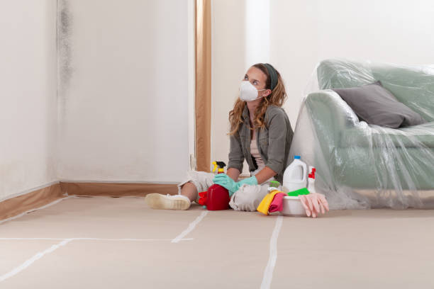 Reliable Black Mold Removal contractor in Windber, PA by WQB Mold Removal